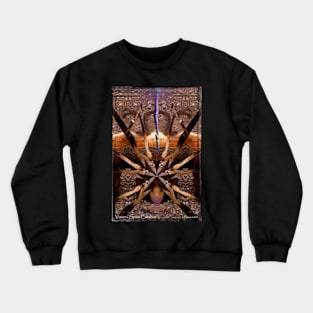 Vision: Spirit Catcher Crewneck Sweatshirt